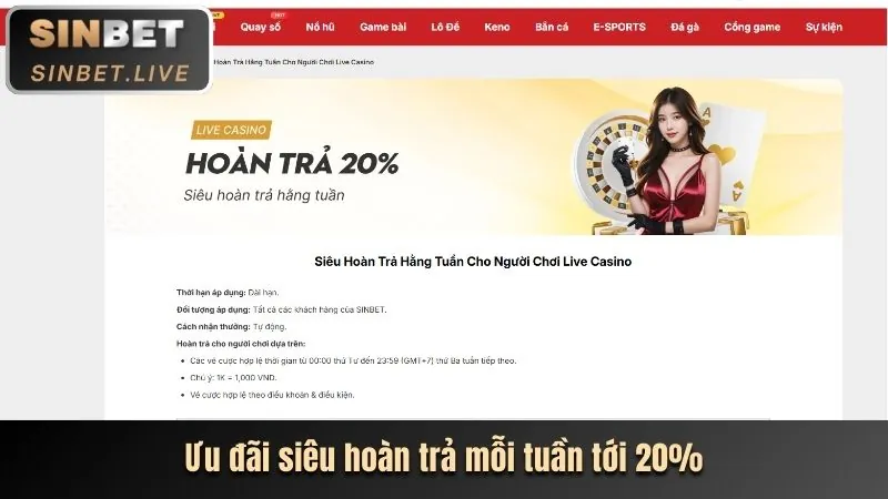 Hoàn Trả Hàng Ngày 28dt bet